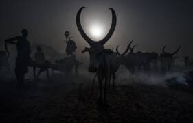 Dans un camp de bétail de Mundari - Sud-Soudan (Joxe Inazio Kuesta) - Muzeo.com
