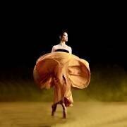 Danseuse ballerine (Agus Adriana) - Muzeo.com