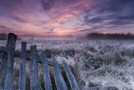 Dawn of Bialowieza Meadows (Krzysztof Lorant) - Muzeo.com