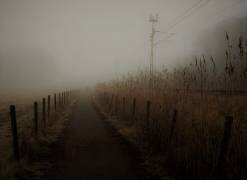 Deeply into the fog (Kremena Nikolaeva) - Muzeo.com