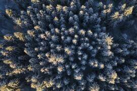 Derniers rayons chauds (Dmitry Doronin) - Muzeo.com