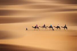 Desert caravan (Clas Gustafson) - Muzeo.com