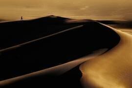 Desert one (Mohammad Fotouhi) - Muzeo.com