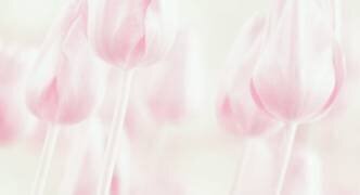 Douceur (Delphine Devos) - Muzeo.com