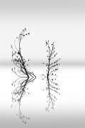 Dreamland 03 (George Digalakis) - Muzeo.com
