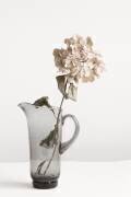 Fleur séchée dans une cruche (1x Studio III) - Muzeo.com