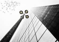 Droit vers le ciel (EM-Photographies) - Muzeo.com