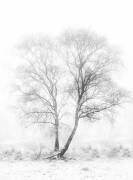 Early in the morning (Greetje van Son) - Muzeo.com