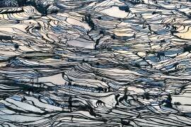 Earth Carpet (George Doupas) - Muzeo.com