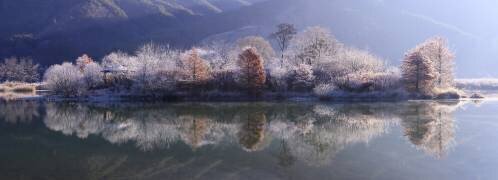 Île de glace (Tiger Seo) - Muzeo.com