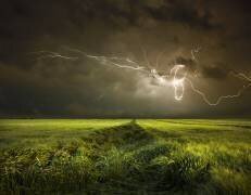 Electrically in Summer (Nicolas Schumacher) - Muzeo.com