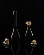 Elegant orchid (Louie Luo) - Muzeo.com