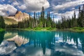 Emerald... (Zoran Dujic LightHunter) - Muzeo.com