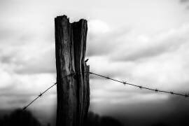 End of a Dream (Michael) - Muzeo.com