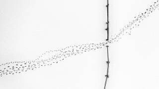 Entrée/sortie (Mei Xu) - Muzeo.com