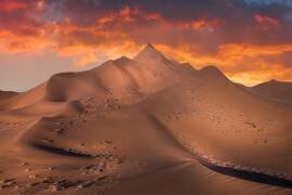 Exploring the desert (Simoon) - Muzeo.com