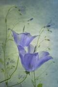 Floral (Greetje van Son) - Muzeo.com