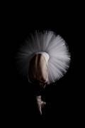 Flower (Eugenio Cini) - Muzeo.com