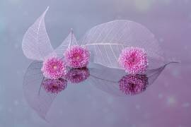 Flowers and leaves (Jenny J rao) - Muzeo.com