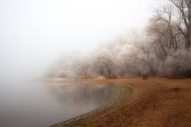 Fog and rime on the lake (Hans Peter Rank) - Muzeo.com