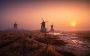 Foggy morning (Tiger Seo) - Muzeo.com