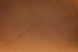 Footprint (Mohammadreza Momeni) - Muzeo.com