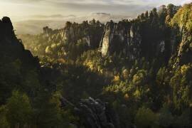 Forest Whispers (Karsten Wrobel) - Muzeo.com