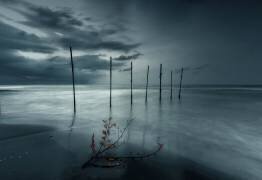 Forever Blue (Asef Azimaie ) - Muzeo.com