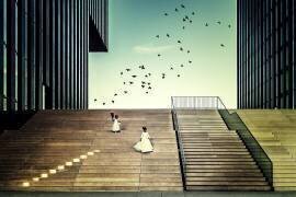 Free like a bird... (Dennis Mohrmann) - Muzeo.com