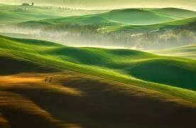 Freedom.... (Krzysztof Browko) - Muzeo.com
