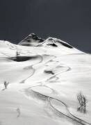Freeride (Uschi Hermann) - Muzeo.com