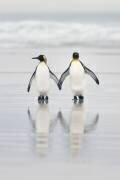 Friends (Joan Gil Raga) - Muzeo.com