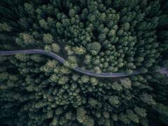 From above (Antonio Carrillo Lopez) - Muzeo.com