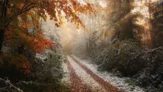 Frosty Fall (Vincent Croce) - Muzeo.com