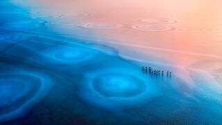 Frozen World (Mei Xu) - Muzeo.com