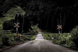 Gate to the sanctuary (Yuusuke Hisamitsu) - Muzeo.com