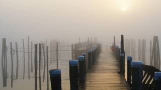 Golden fog at the lonely pier (Bodo Balzer) - Muzeo.com