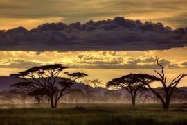 Good evening tanazania (Amnon Eichelberg) - Muzeo.com