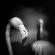 Goodbye (Claudio Moretti) - Muzeo.com