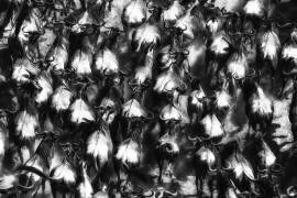 Grande évasion (Mohammed Alnaser) - Muzeo.com