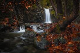 Headwaters (Christos Zoumides) - Muzeo.com