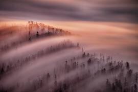 High Tide (Peter Svoboda MQEP) - Muzeo.com