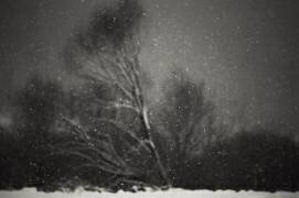 Hiver (Photo Cosma) - Muzeo.com