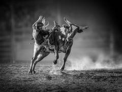 Holdout (Frank Ma) - Muzeo.com