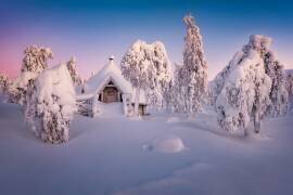 Home sweet home (Raymond Hoffmann) - Muzeo.com