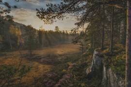 Humeur d'automne (Sven Olav Vahlenkamp) - Muzeo.com