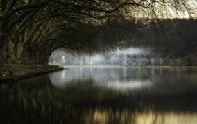 Hypnosis of Nature (Abhishek Dey) - Muzeo.com