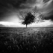 Illusion d'un printemps perdu (Sébastien del Grosso) - Muzeo.com