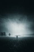 I'm coming back (Andrea Fraccaroli) - Muzeo.com