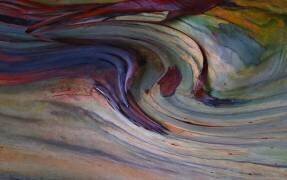 In the eye of the storm (Robin Wechsler) - Muzeo.com